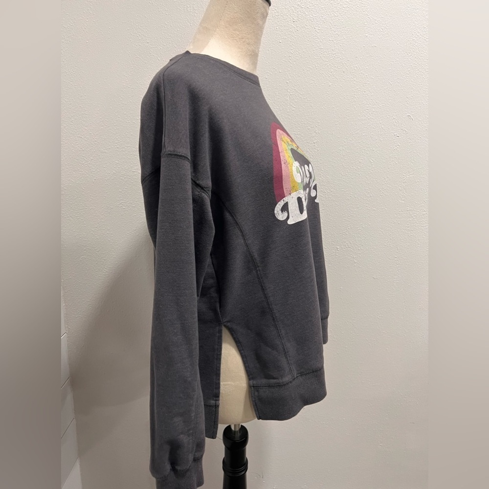 WILDFOX EASY DOES IT RAINBOW OVERSIZED SWEATSHIRT Sz XS GRAY SOFT FABRIC - Picture 2 of 8